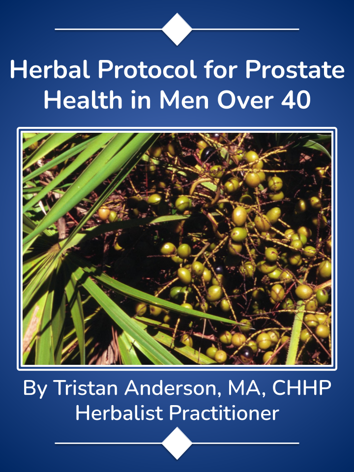 Herbal Protocol for Prostate Health in Men Over 40