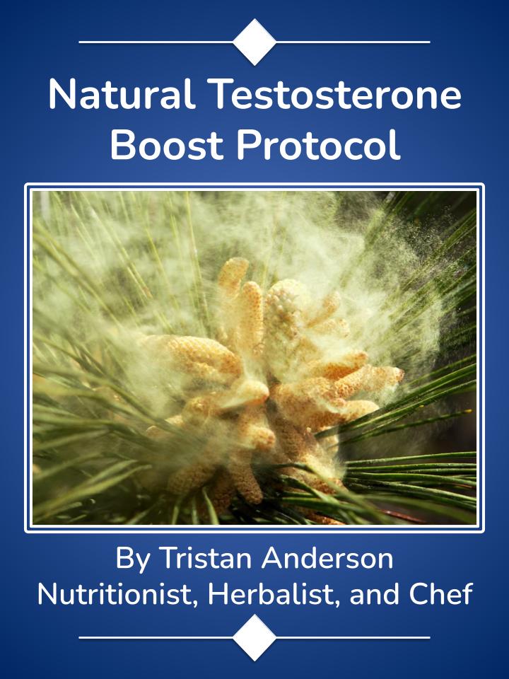 Natural Testosterone Boost Protocol
